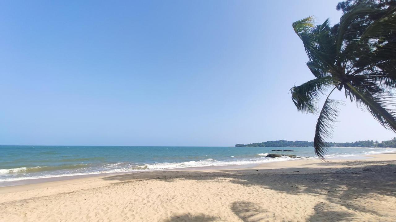 Surf Beach Hotel Arugam Kudah Eksteriør bilde